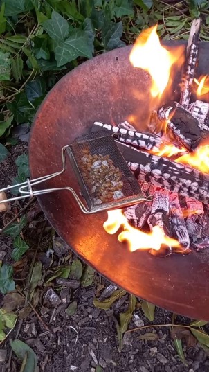 Herfst Doe Dag in Klauterwoud Broekpolder