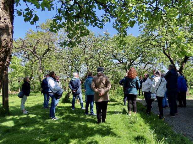 Fiets langs de bloesems en geniet van de lente