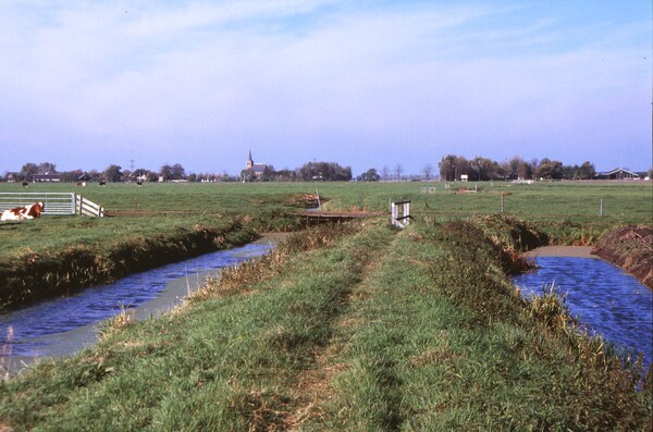 Beleef het boeiend landschap op Midden-Delfland Dag