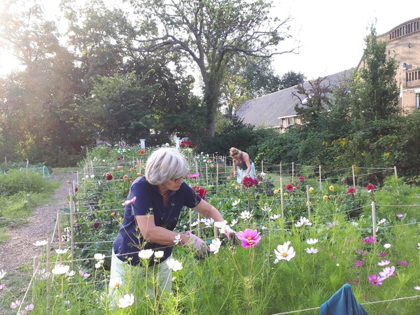 Wordt Wakker! Open Akker (Stadslandbouw)
