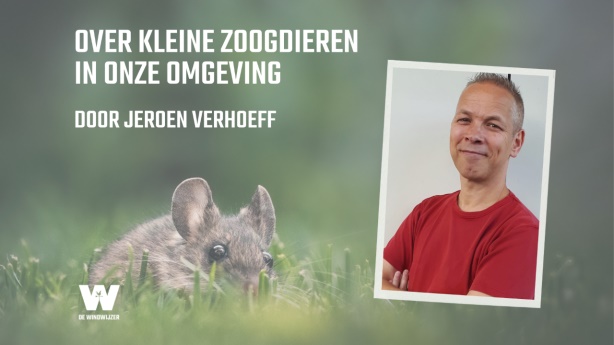 Groene Jeroen komt naar De Windwijzer