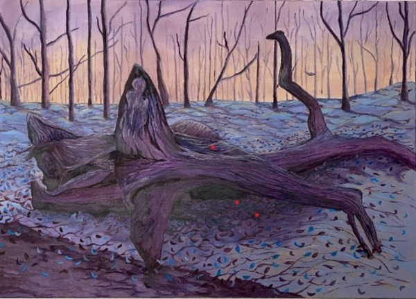 Nieuwe expositie met als thema: Magische Natuur