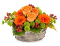 Herfststukjes maken in de Heemtuin?