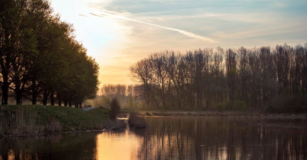 Vroege nazomerwandeling met Broekpoldergidsen zondag 28 augustus