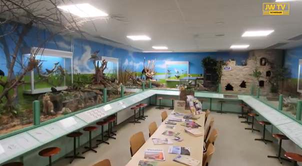 "Gemeente waar ben je mee bezig? Boshoek is uniek natuurbolwerk!"