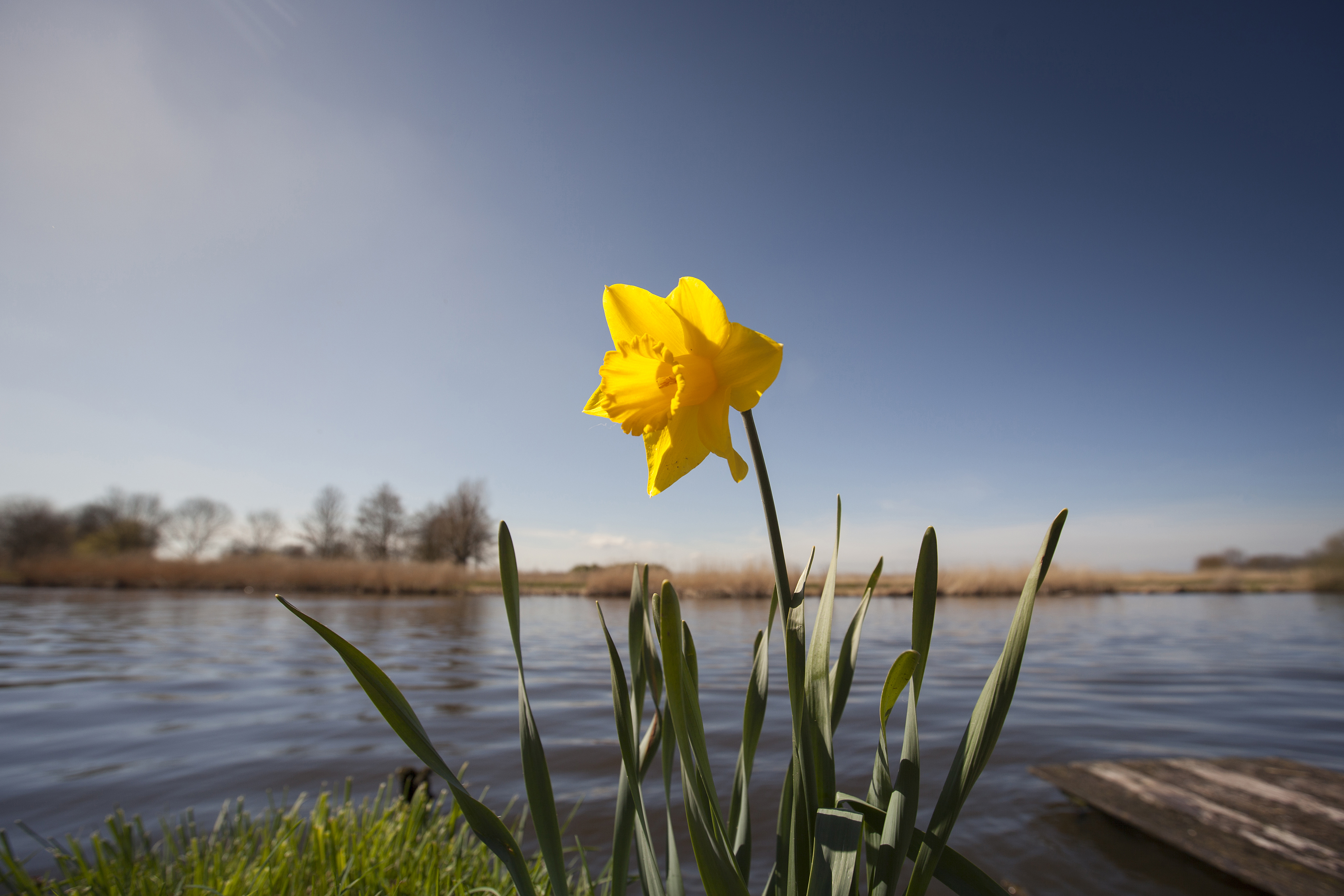 Vrolijke paastips uit Midden-Delfland