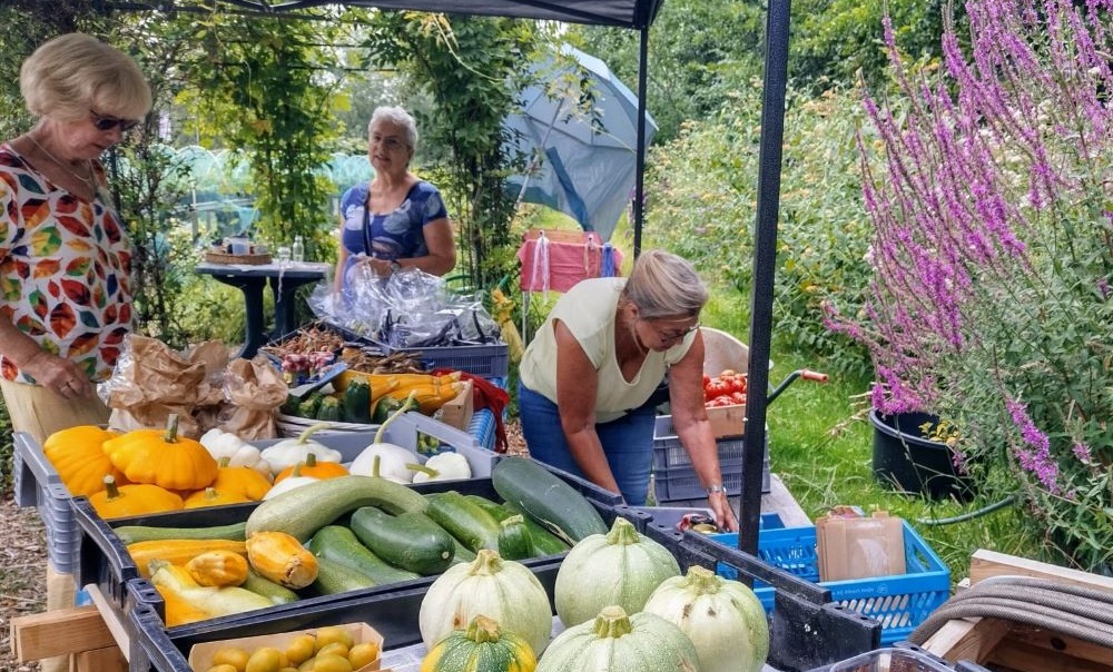 Oogstmarkt bij Stadslandbouw van Ruytenburch