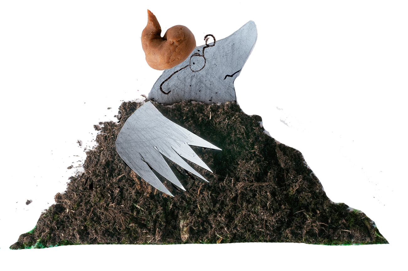 Wie heeft er op de mol zijn kop gepoept?