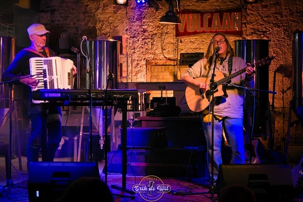 Vakwerk op een winterse zondagnamiddag