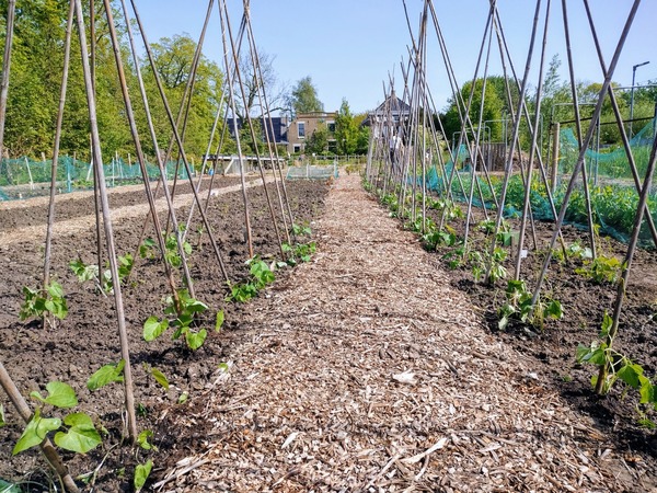 Snuffelen aan vrijwilligerswerk bij Stadslandbouw. Kom je ook?