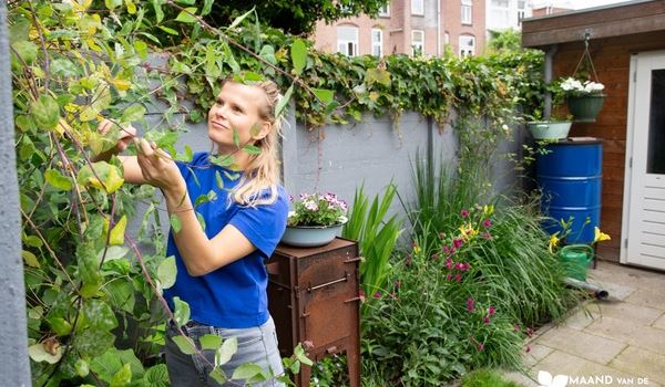 Week van de Groene Tuin breidt uit naar de Maand van de Groene Tuin