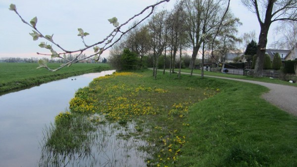 Op de wal, niet in de sloot