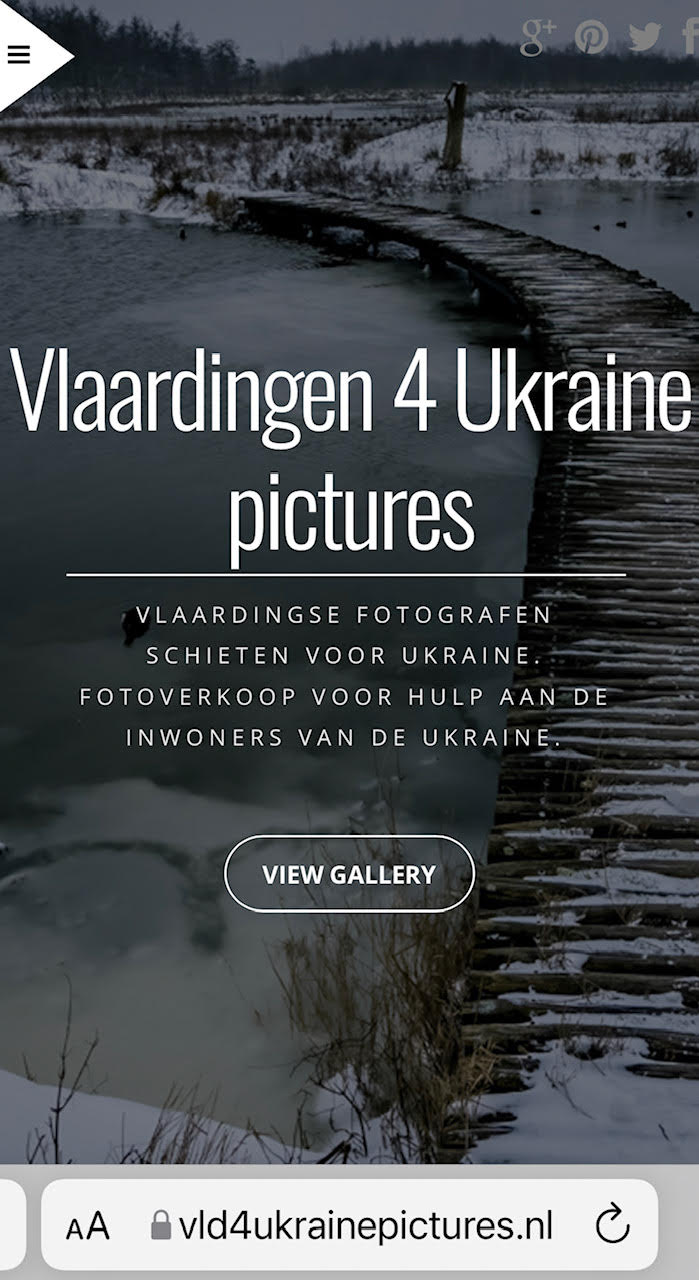 Fotoveiling voor Oekraine