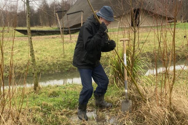 Masamuda plant duizendste boom