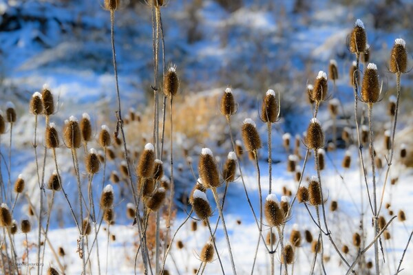 Muts op, sjaal om, jas en laarzen aan