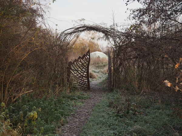 Wandelen in ontluikend Voedselbos