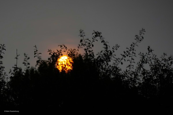 Wandeling in de Broekpolder: Tanden in, cape om