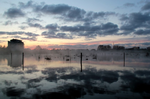 Vroeg uit de veren met de Broekpoldergidsen