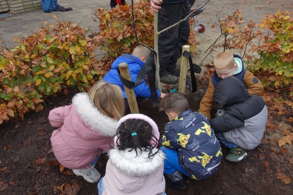 Boompje planten?