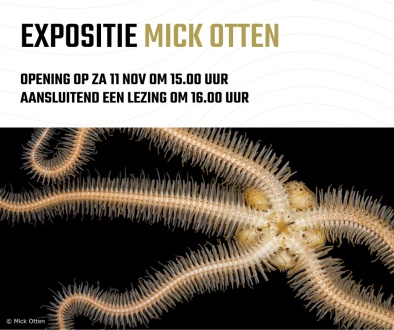 Opening expositie Mick Otten