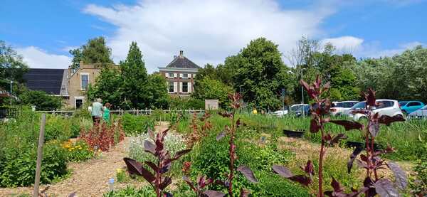 Open Akker Stadslandbouw op twee locaties in Vlaardingen