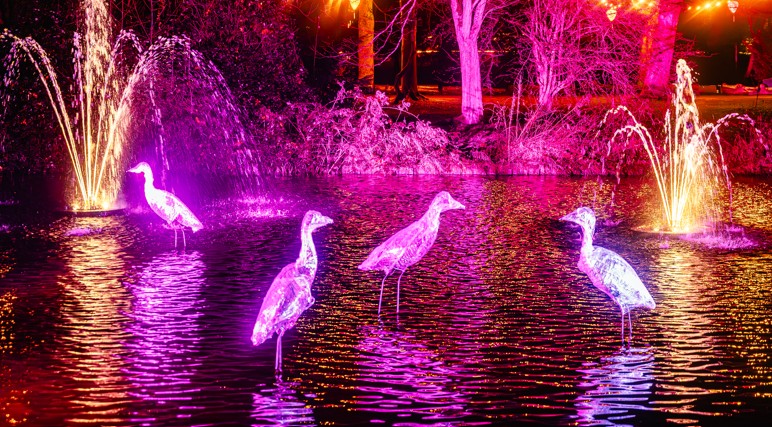 Vlaardingen straalt …