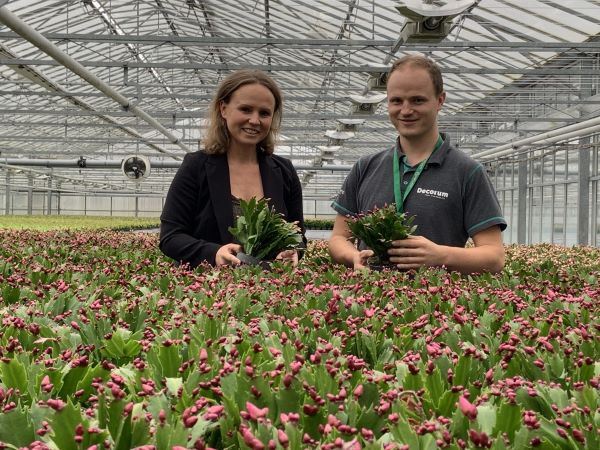 Hofland Flowering Plants viert 125-jarig jubileum