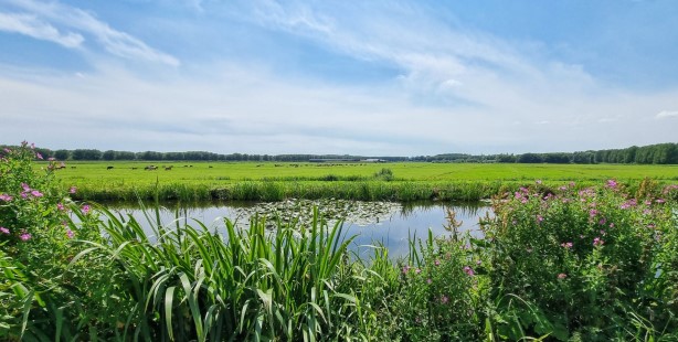 Ontdek en beleef water (H2O) met Natuurlijk Delfland