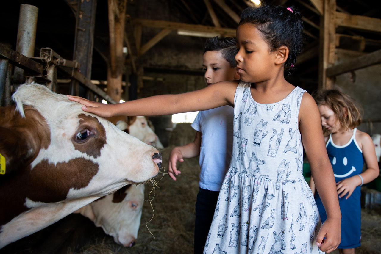 Midden-Delfland Dag 2021 komt eraan