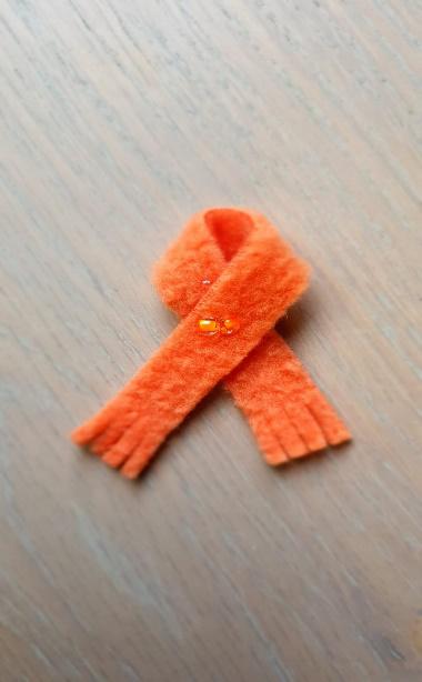 Meer medestanders nodig in de strijd tegen geweld tegen vrouwen en meisjes