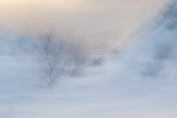 Intentional Camera Movement in Vlaardingen