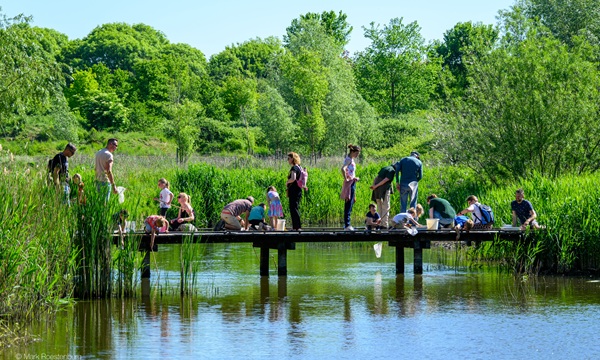 Op ontdekkingstocht tijdens Slootjesdag in de Broekpolder
