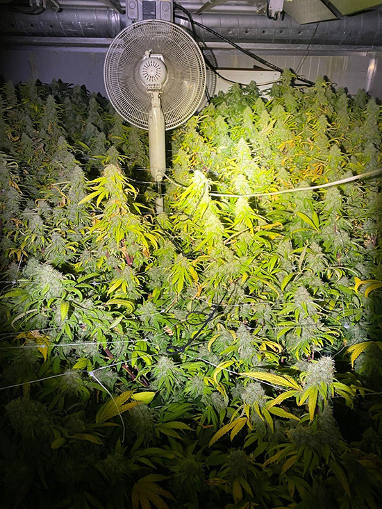 Burgemeester sluit met spoed pand op bedrijventerrein