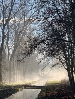 Bomen- en knoppenwandeling met Broekpoldergidsen