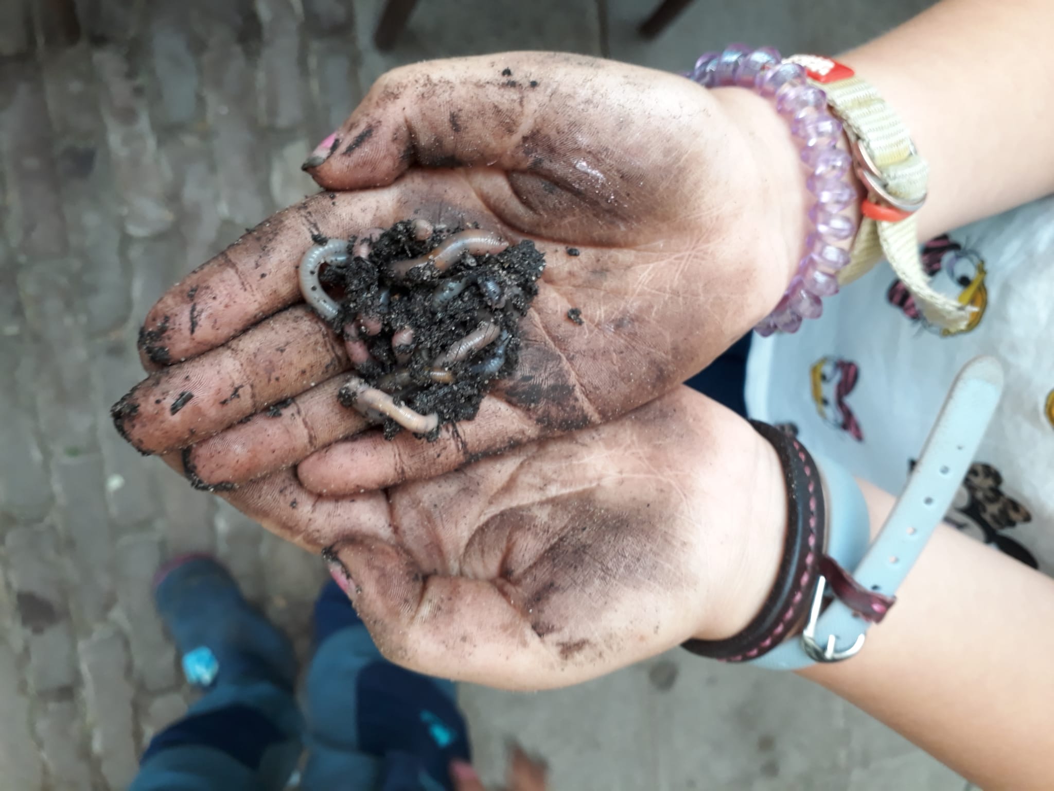 "Handen en voeten in de aarde"