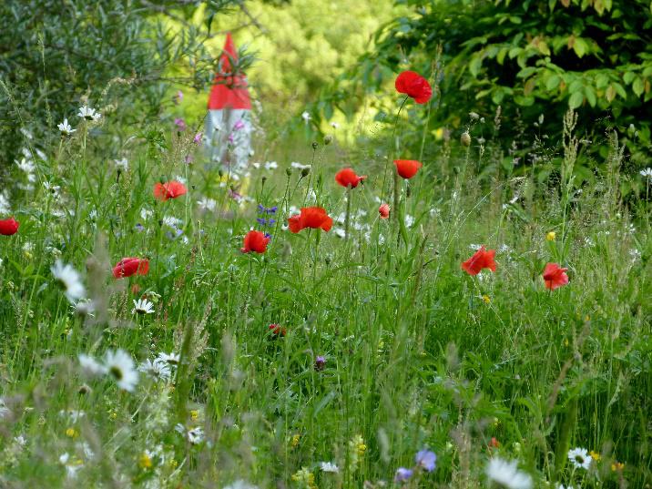 Heemtuin Vlaardingen: extra op ‘open tuinen weekend’. 