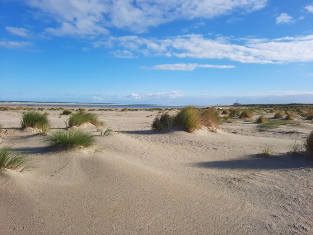 Excursie Zandmotor Monster