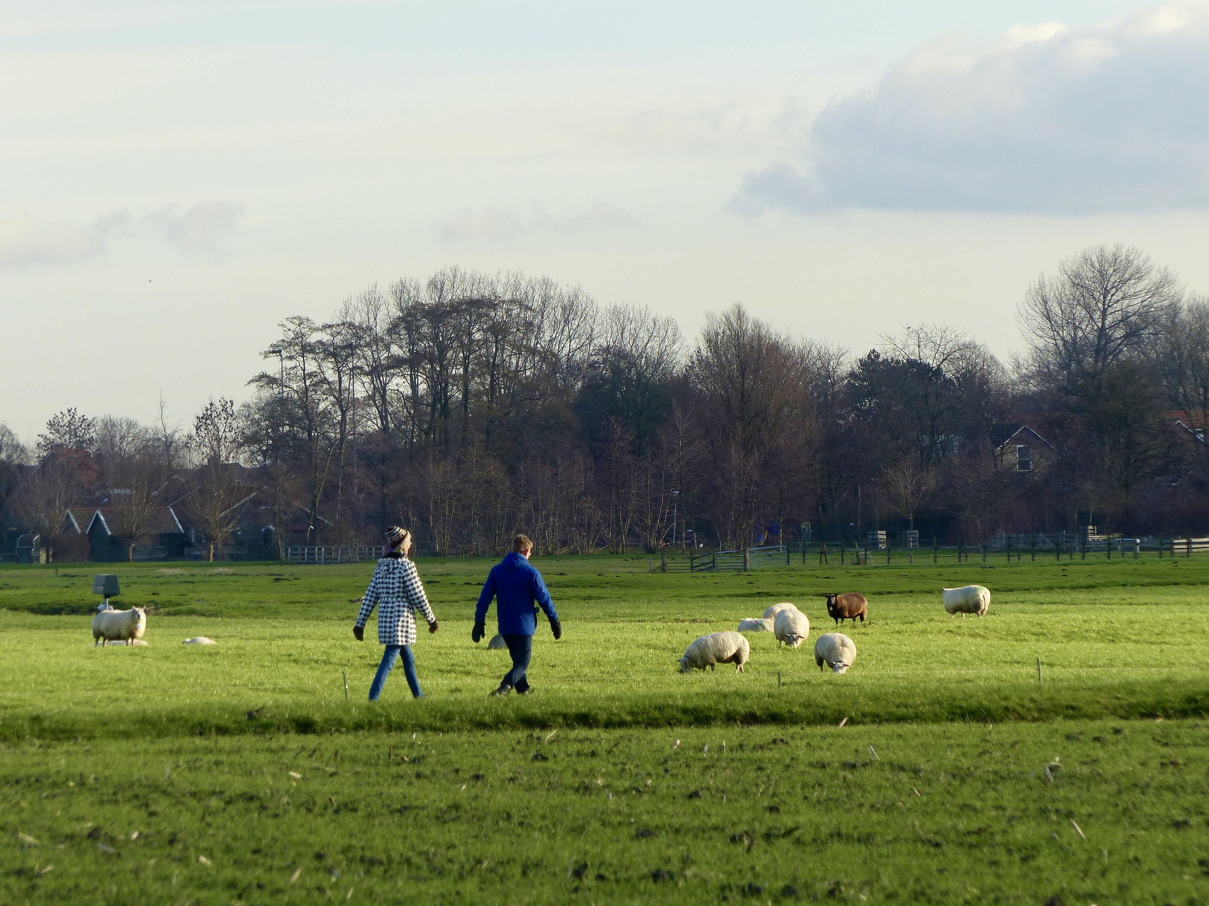 Wandel tijdelijk een nieuw ‘Vliegend Wandelpad’