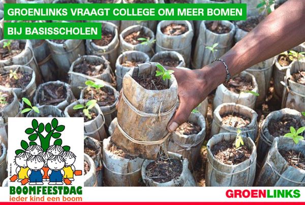 GroenLinks vraagt college om meer bomen bij basisscholen