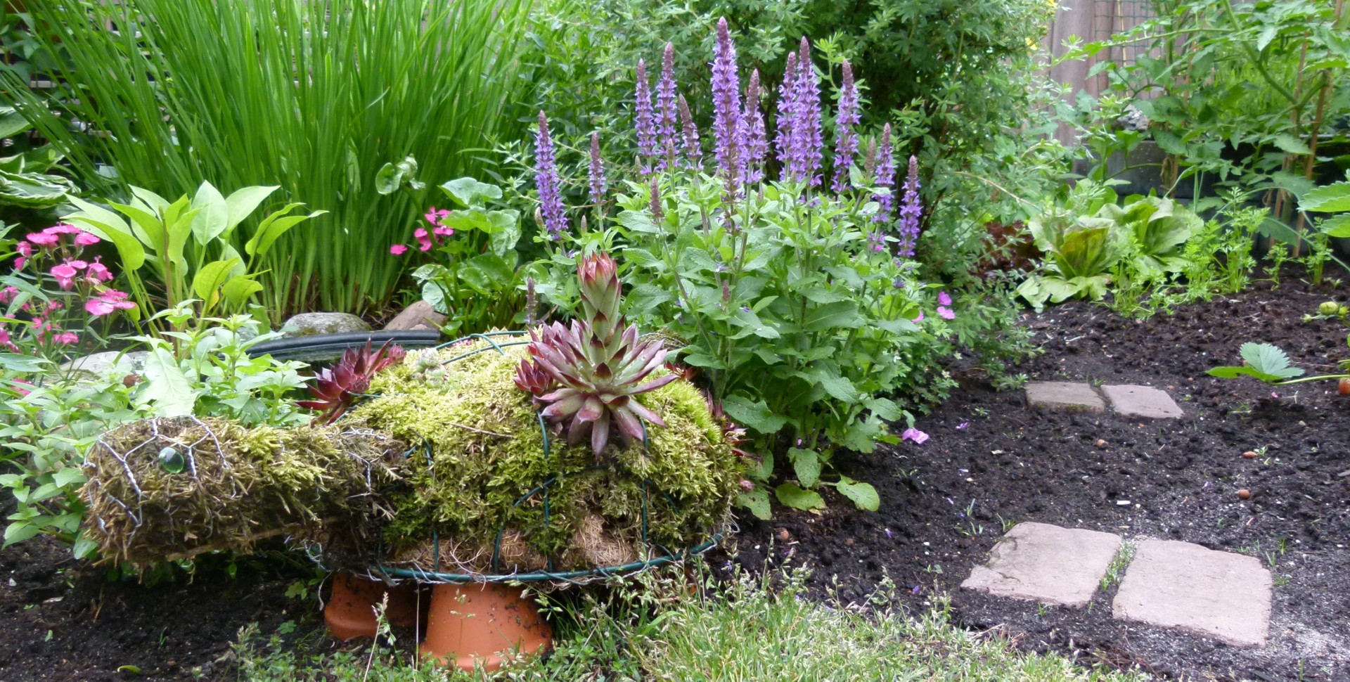 Natuurvriendelijk Tuinieren?