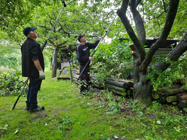 Leren fruitbomen te snoeien?
