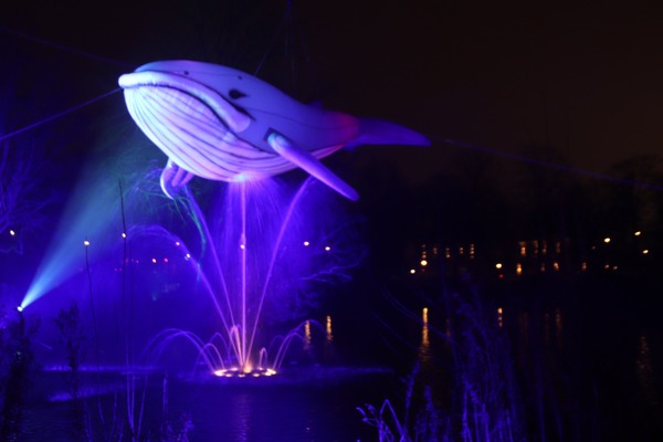 Magisch Lichtfeest voor Iedereen