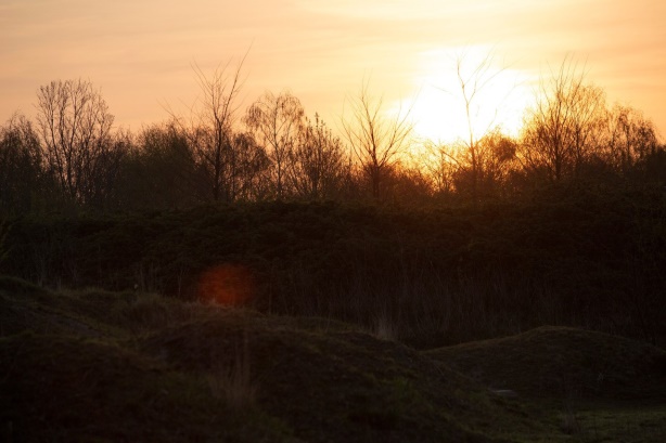 Vroege uit de veren met de gidsen door de Broekpolder op zaterdag 22 juli