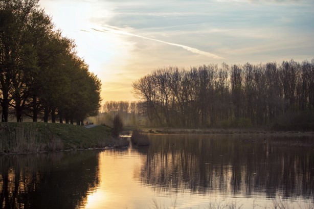 Stiltewandeling 12 februari Broekpolder