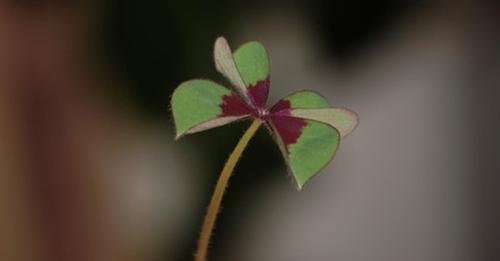 Foto workshop in de Heemtuin. 