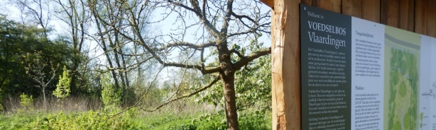 Maandelijkse rondleidingen Voedselbos Vlaardingen