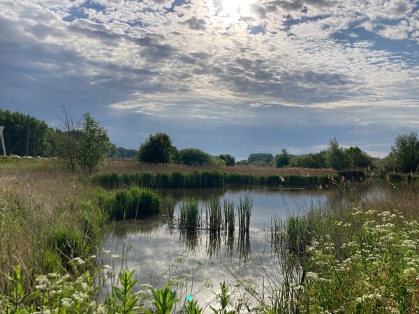 Workshop Oevers via potlood en telefoon
