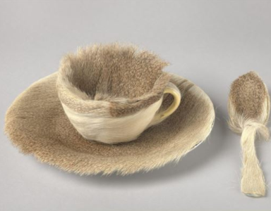 De vrouwen van het surrealisme