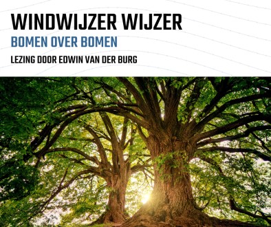 Bomen over bomen in Vlaardingen met Edwin van der Burg