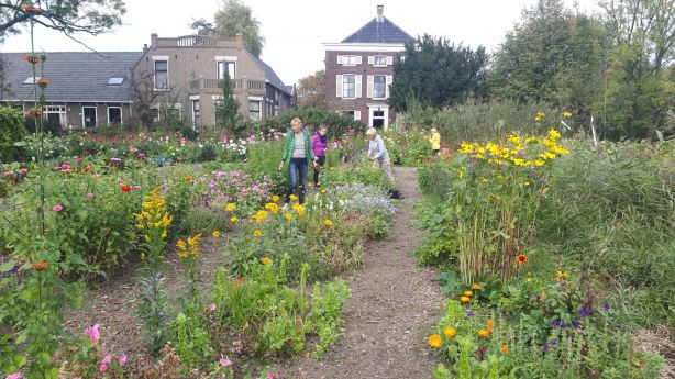 Stadslandbouw van Ruytenburch Vlaardingen weer gestart